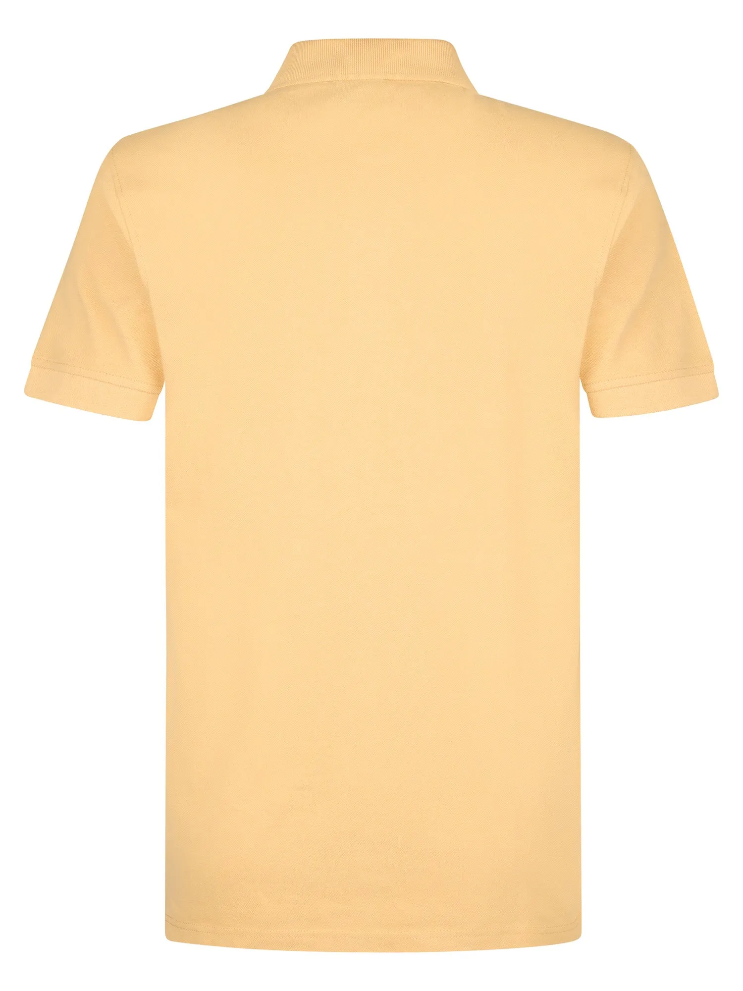 Classic Polo Dolphin