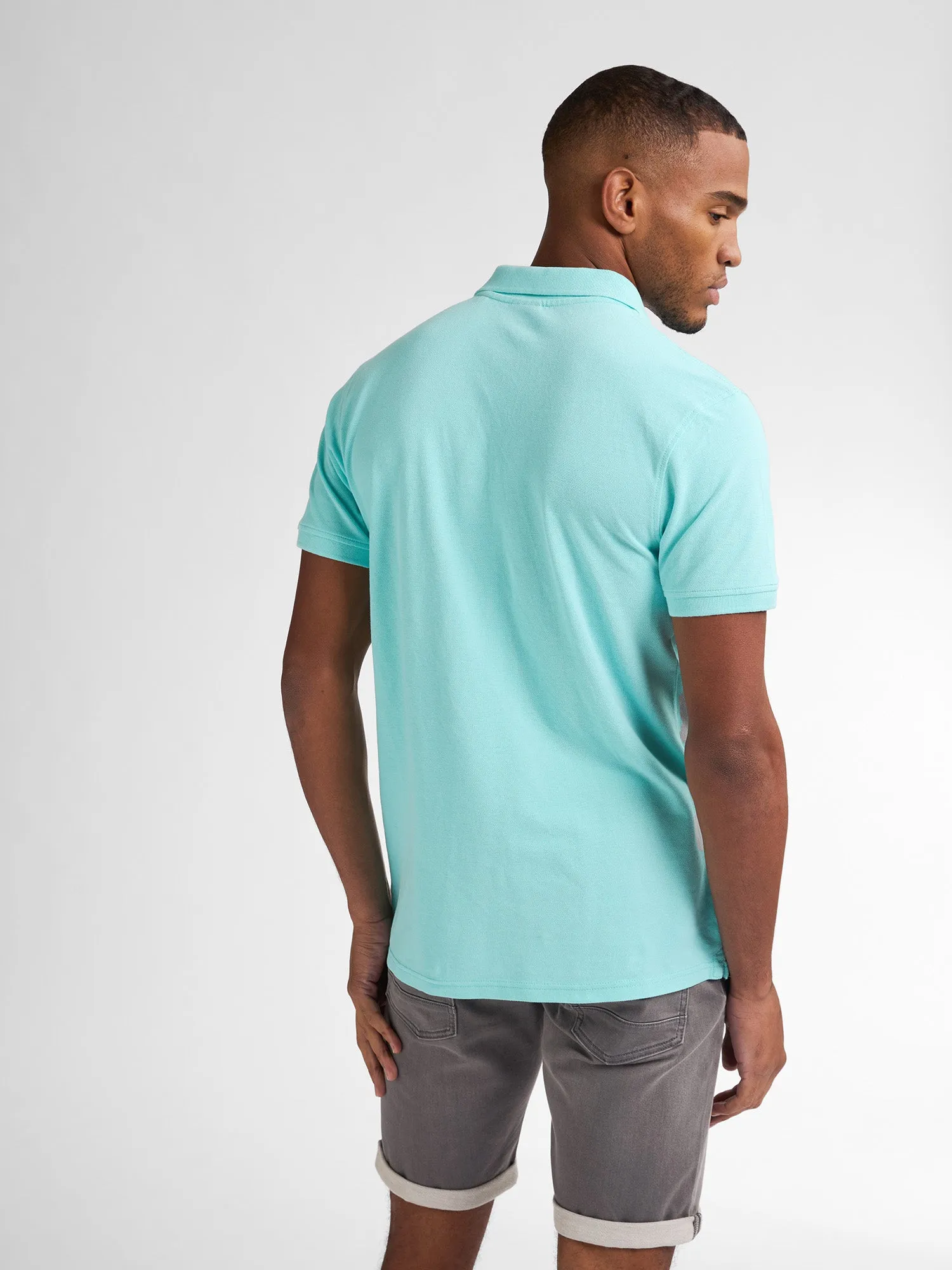 Classic Polo Dolphin