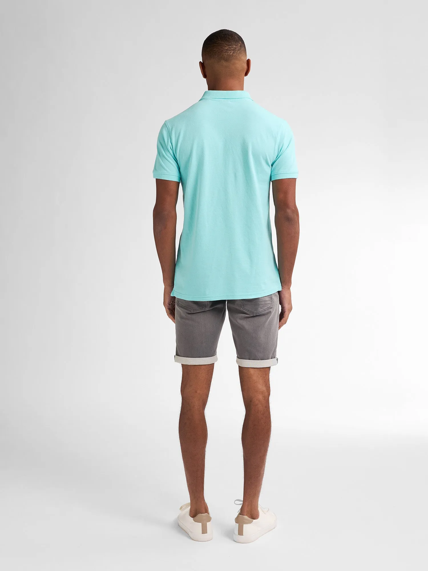 Classic Polo Dolphin
