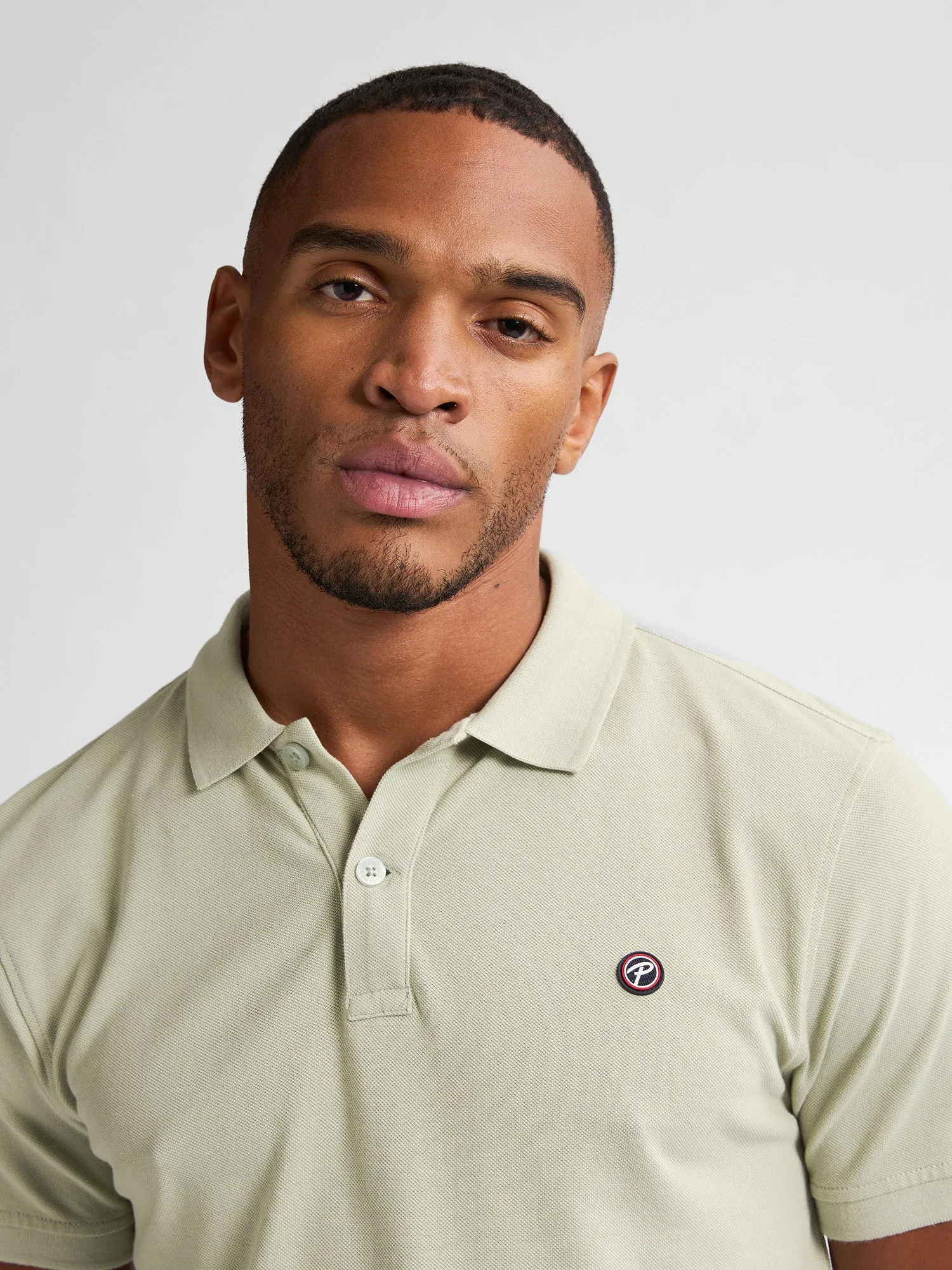 Classic Polo Dolphin