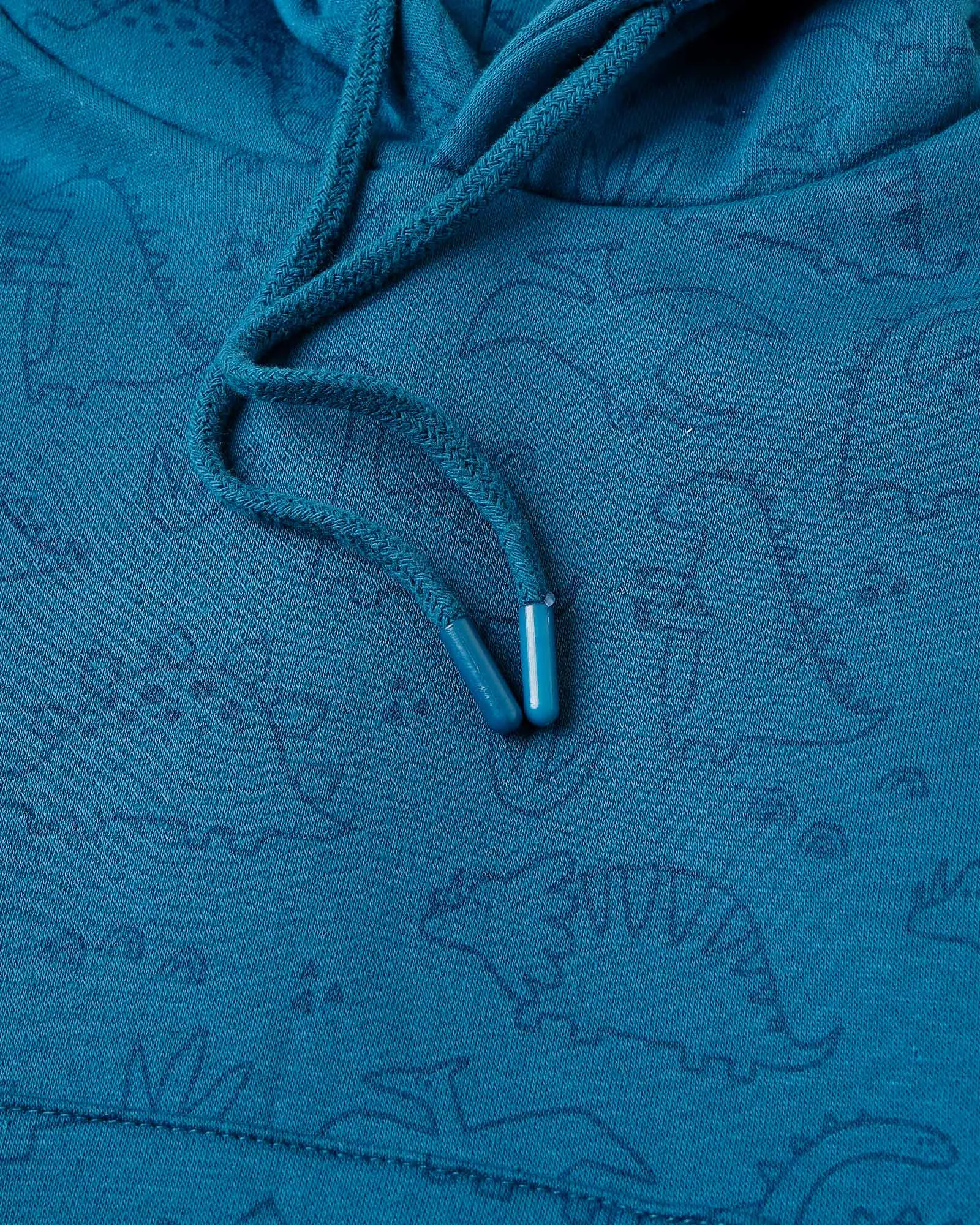 Dinosaur Hoodie