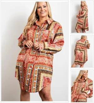 Paisley Satin Print Shirt Dress