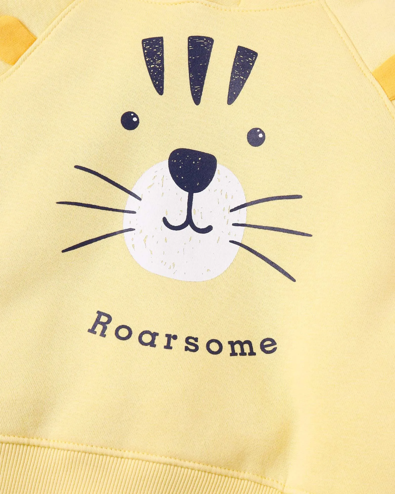 Roarsome Hoodie Set